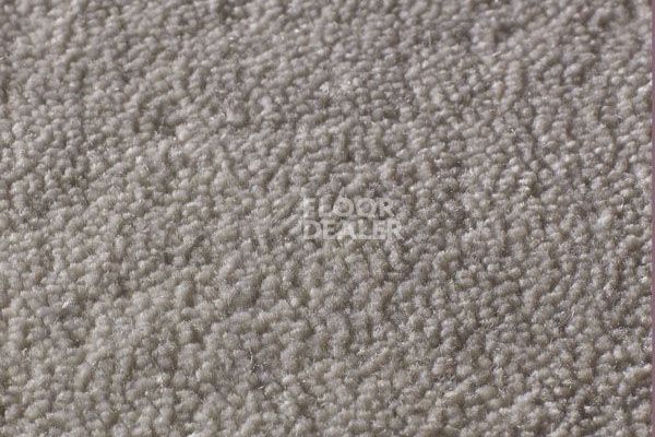 Ковролин Jacaranda Carpets Rajgarh Cloudy Grey фото 1 | FLOORDEALER